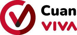 Logo VIVA.co.id
